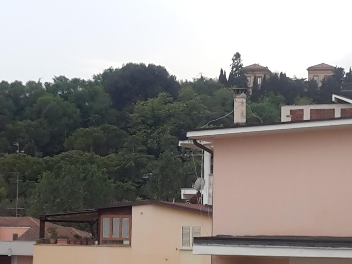 Hotel Antares Garni Giulianova Dış mekan fotoğraf